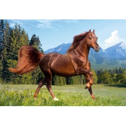 Пъзел - Rocky Mountain Horse